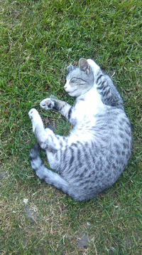 收藏者头像 ： ： Marcin Drosio [Marcin-Drosio]