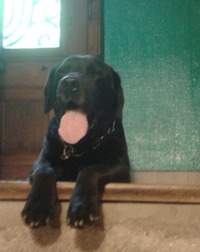 Collector profile picture : Jean-Marc Bastian [Jimbo5768]