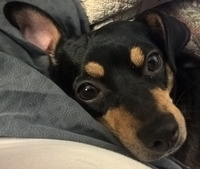 Gambar profil kolektor : : : : Doug Blackshear [DogStar]