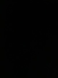 收藏者头像 ： philip