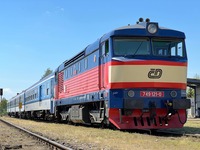 收藏者头像 ： ： Jakub-Hornek