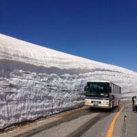 收藏者头像 ： ： Olafor1y