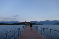 Collector profile picture : geote1