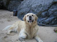 Gambar profil kolektor : : : : Jose Mª De La Cruz [guay249]