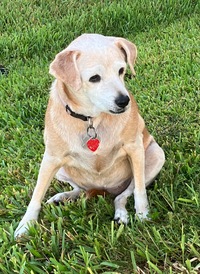 プロフィール画像 ： Neil Groves [Floridaswiss]