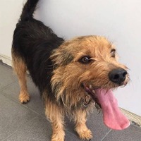 收藏者头像 ： ： Hazel Tait [hazelmtait]