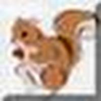 Collector photo de profil : Stáňa Vosková [werka]