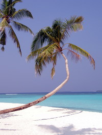 プロフィール画像 ： perline65