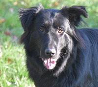 foto do seu perfil de Colecionador : WillyH