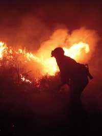 收藏者头像 ： ： Francesc Pelaez Villen [Francesc-Pelaez-Villen]