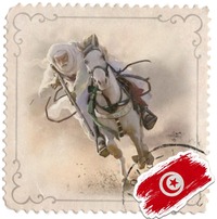 Gyűjtő fényképe: : Karim Abida [karim-abida]