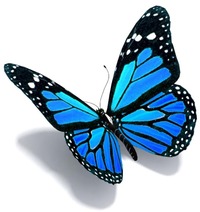 プロフィール画像 ： Liravega21