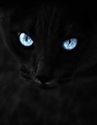 Gyűjtő fényképe: : Margus Vahtramäe [mvahtra]