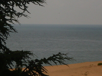 收藏者头像 ： ： vinetu