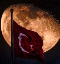 Collector profile picture : ErdemTr