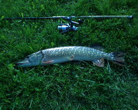 收藏者头像 ： ： tuojau