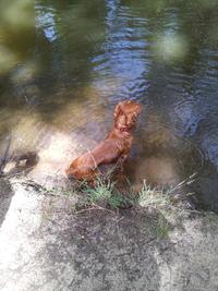 收藏者头像 ： ： Carlos Herrero [Cahf2]