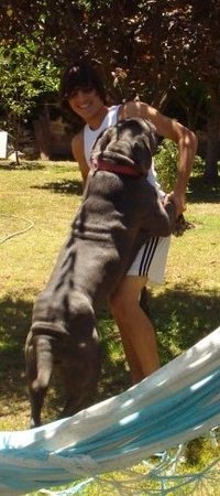 Φωτογραφία του προφίλ του συλλέκτη : : : agusgame