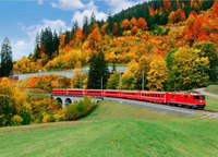 Collector profile picture : Giampaolo Baldan [Baldovino]