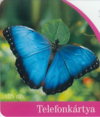 收藏者头像 ： ： Laszlo Nagy [dario]