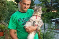 收藏者头像 ： ： Luca Gabrieli [Luca1966]