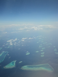 Collector profile picture : dimoge