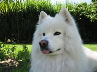 foto do seu perfil de Colecionador : Óscar Martín [omartinp01]