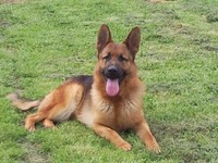 Collector profile picture : otravez