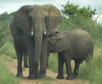 Verzamelaars profiel foto : Carlos Pinto [zimpeto]