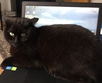 收藏者头像 ： ： Uwe Drifthaus [Libuda001]