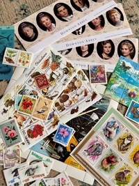 Gyűjtő fényképe: : Mathilde--854