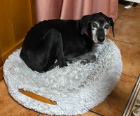 收藏者头像 ： ： Juan Antonio Navarro [clavillor]