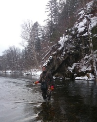 Collector profile picture : thixthix