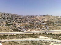 Gambar profil kolektor : : : : Zvia Almog [tzvia]