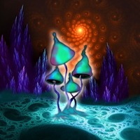 Φωτογραφία του προφίλ του συλλέκτη : : : Sergey Nastiushkin [moonmushroom]