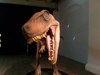 收藏者头像 ： Marion1909