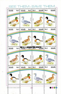 Gyűjtő fényképe: : Murad Qadir [muradqadir]