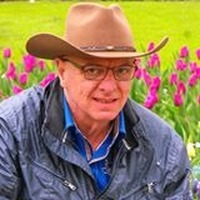 收藏者头像 ： Leo Haeren [Unifil]