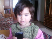 收藏者头像 ： ： PhoneTone