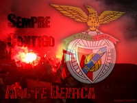 收藏者头像 ： ： Fernando Silva [jorgepintas]