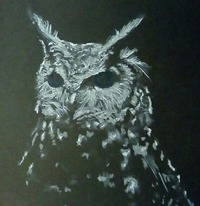 Collector profile picture : Timur Khusyainov [TimurNN]