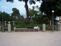 Gambar profil kolektor : : : : Algys