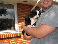 Collector profile picture : Bent Møller [Behnsen99]