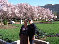 תמונת פרופיל אספן : : avi123