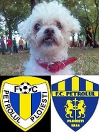 Collector profile picture : Borcea Cristi [CristiBorcea]