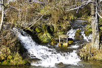 收藏者头像 ： ： Marijan Stepinac [marijancek]