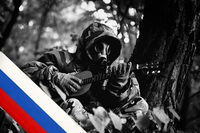 收藏者头像 ： ： pegasusss