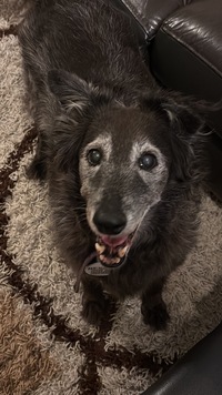 收藏者头像 ： ： Nicolás Crizul [nicrizul]