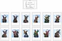 Gambar profil kolektor : : : : Zsuzsa Fellegi [zsucukorka]