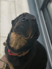 收藏者头像 ： ： Benoît Fouquet [benoit64]